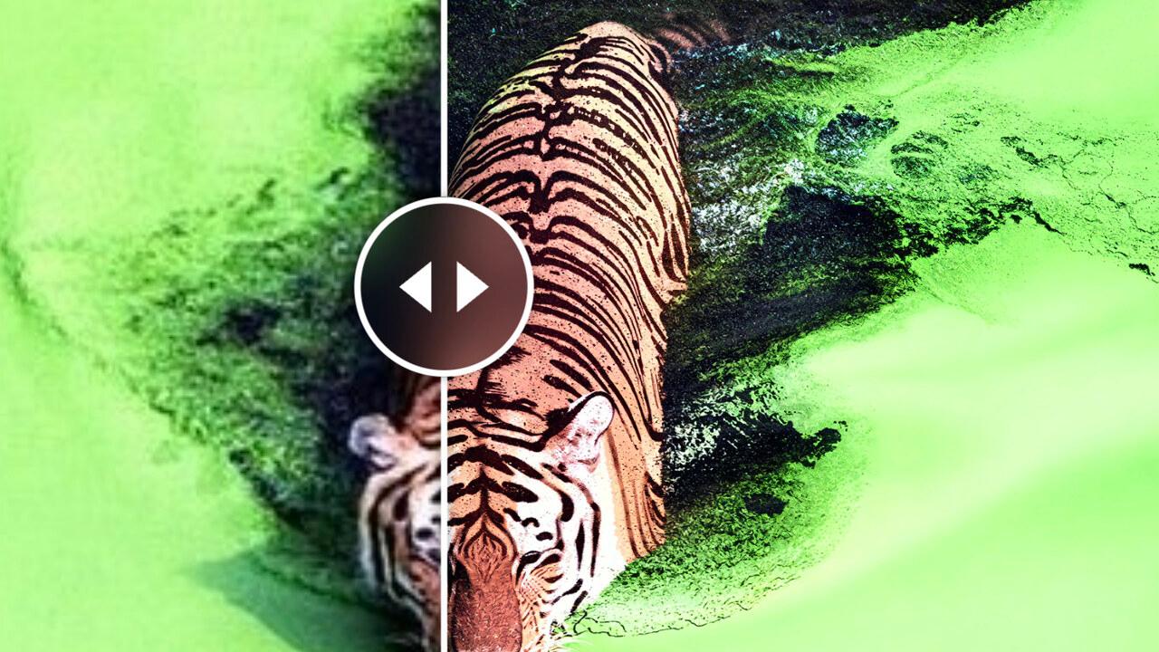 seedvr2-upscale